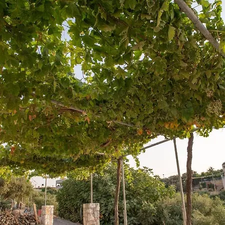 Hello Village Chania Apartman Sfakianalion